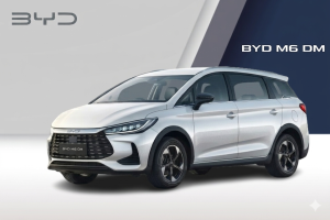 BYD M6 DM