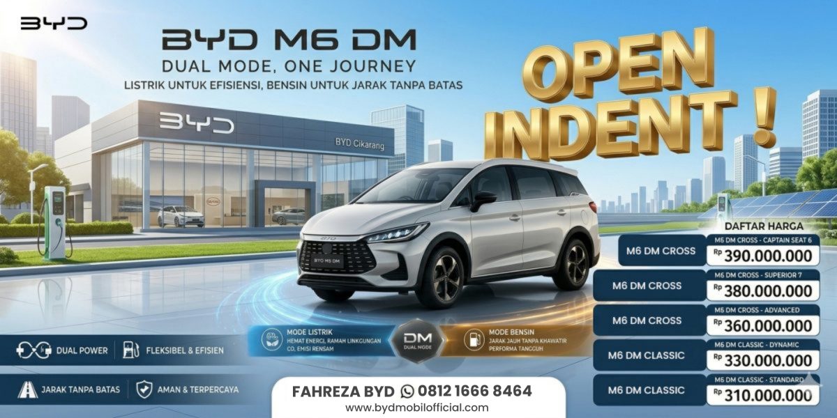 Byd M6 DM Banner